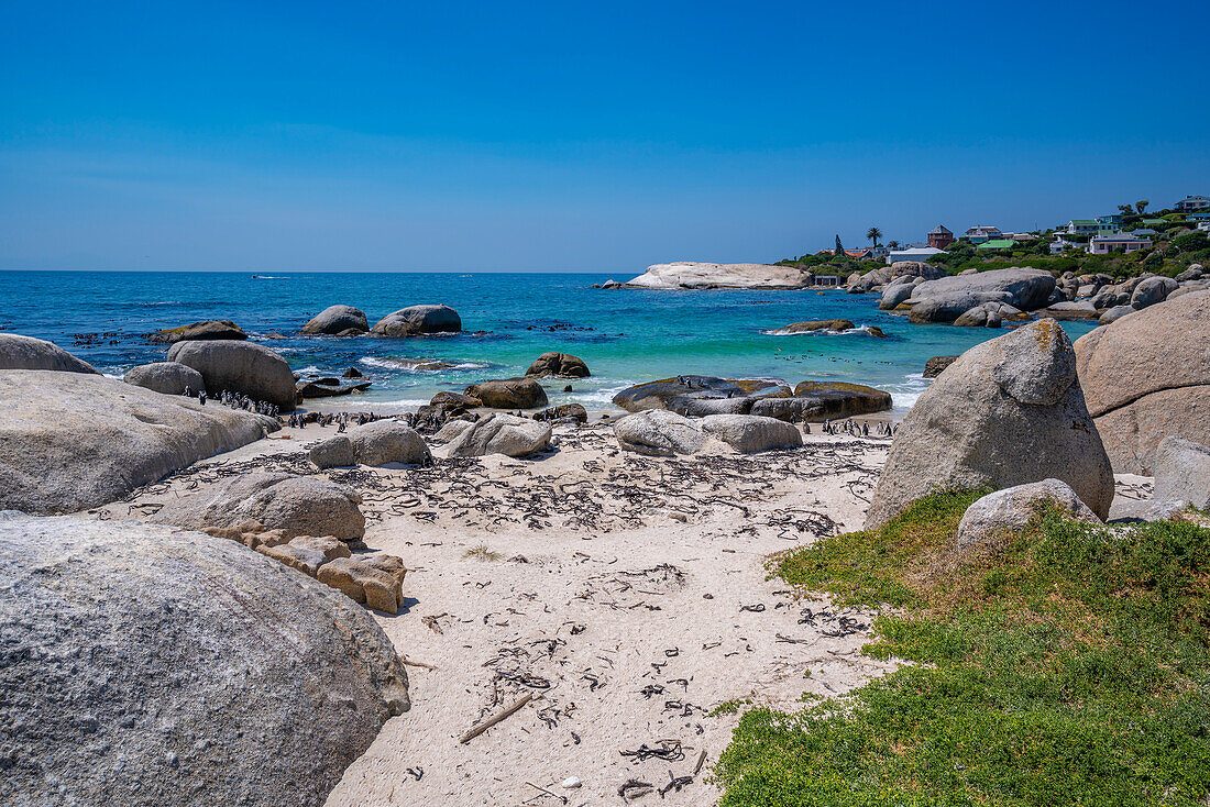 Seaforth Beach