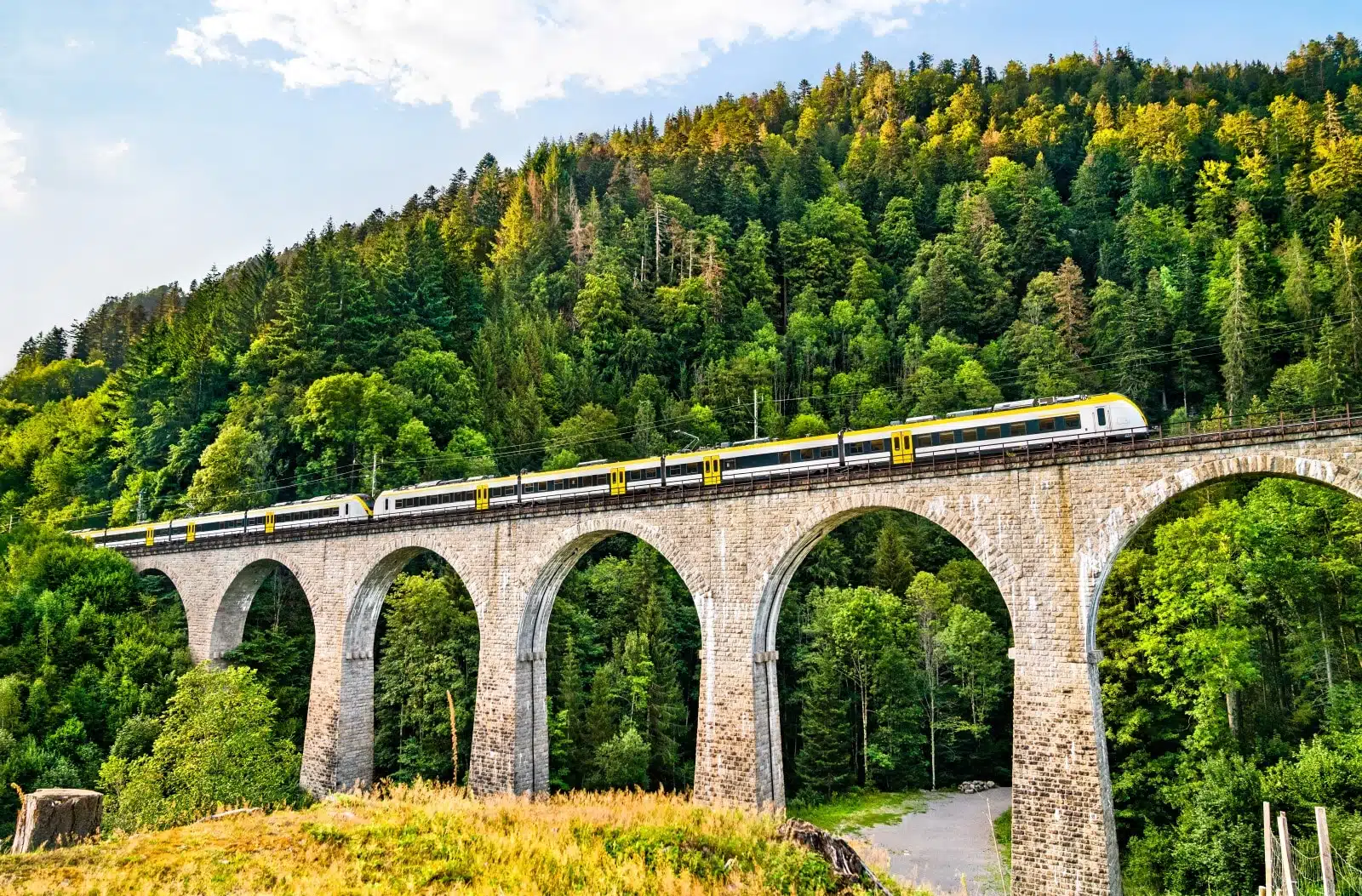 Black Forest From Strasbourg by Train