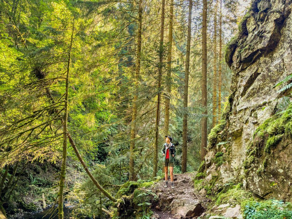 Is the Black Forest Worth Visiting