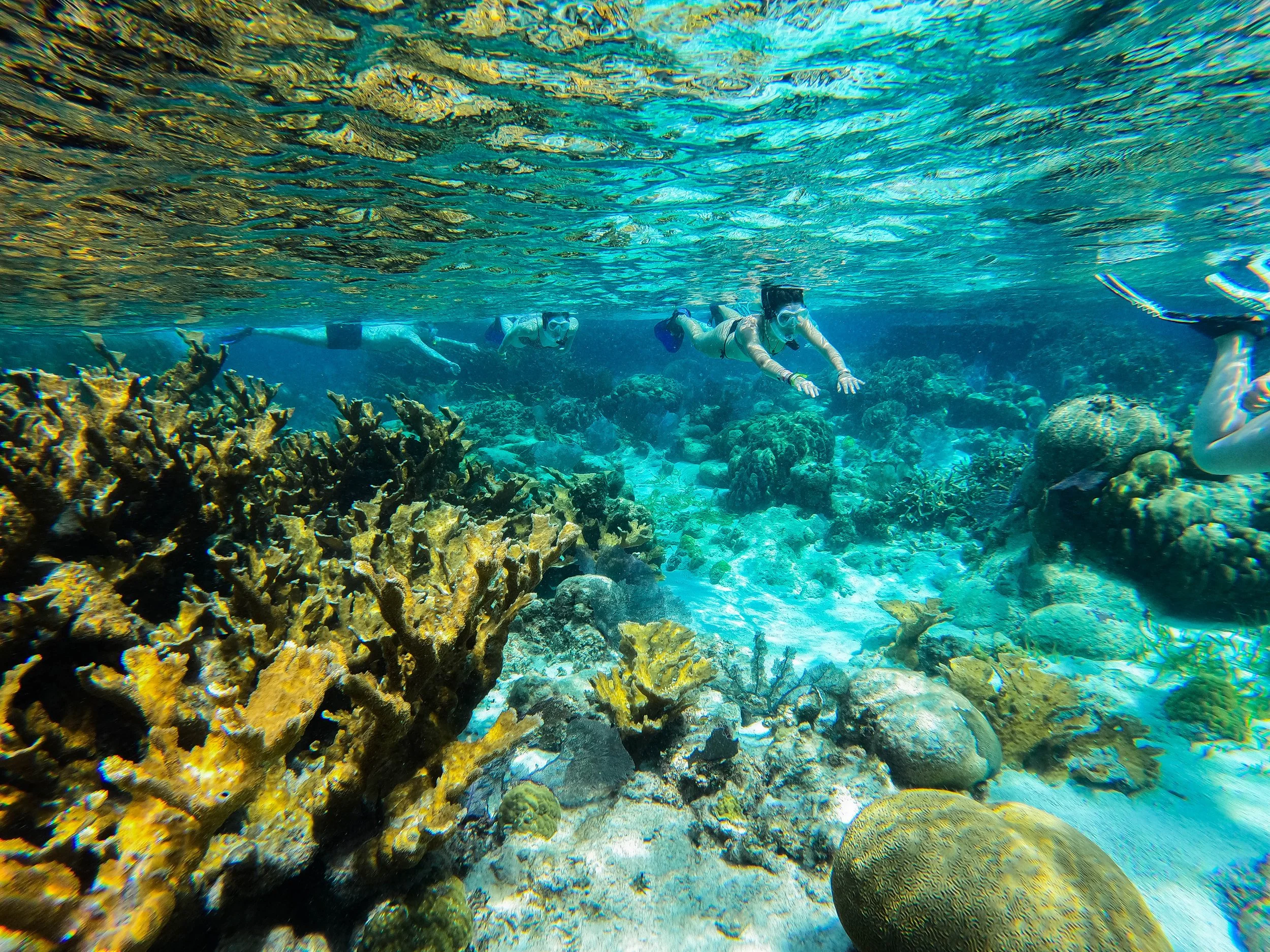 Best Snorkeling San Pedro Belize