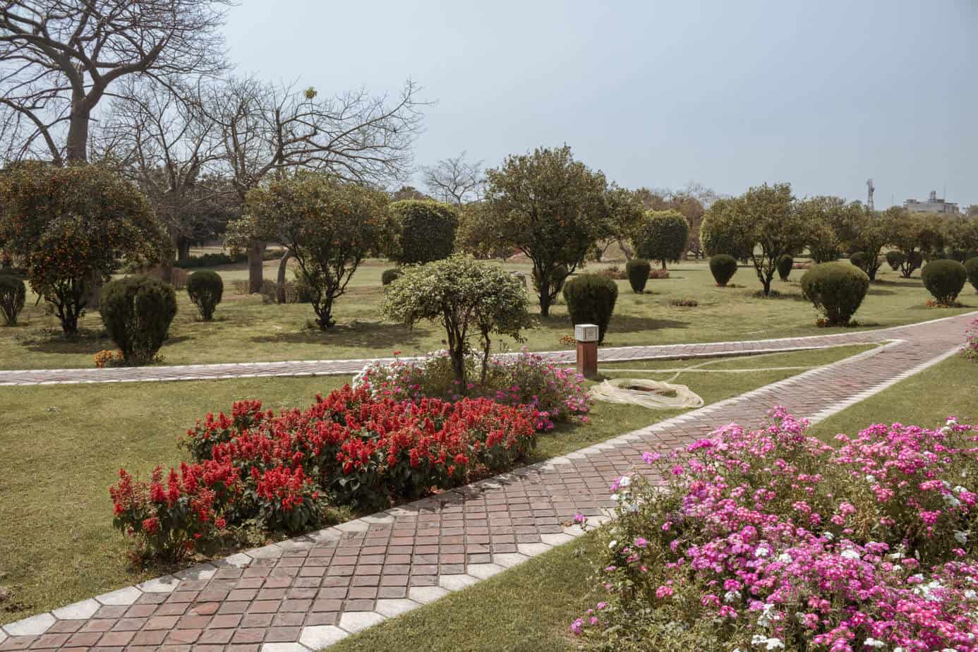 Garden Pathway Approach