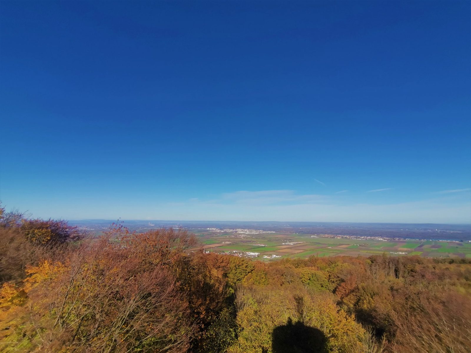 Tulbinger Kogel