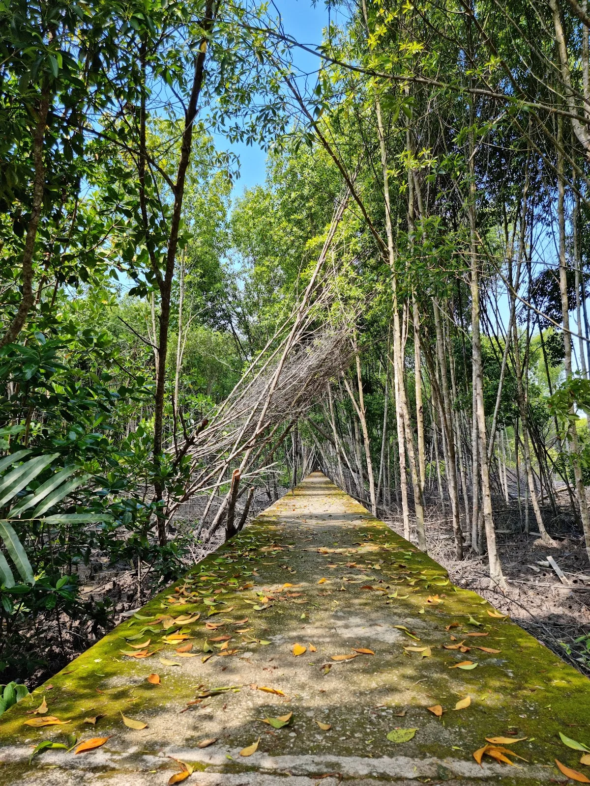 Kuala Selangor Nature Park