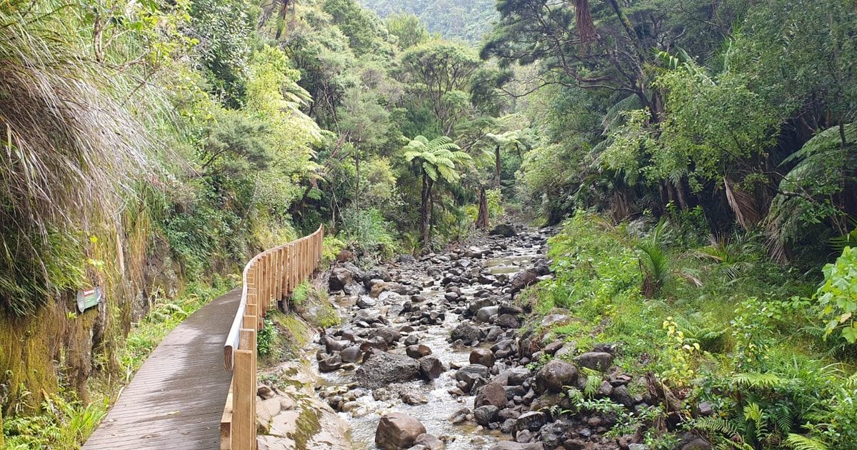 Where Can I Visit a Rainforest