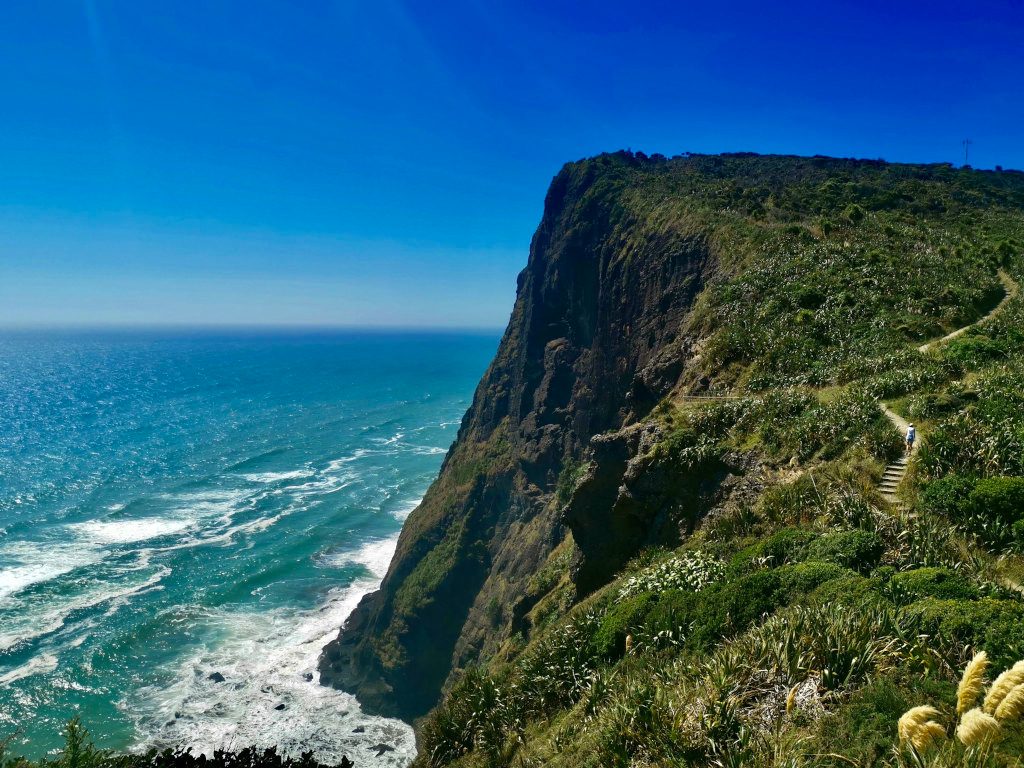Mercer Bay Loop