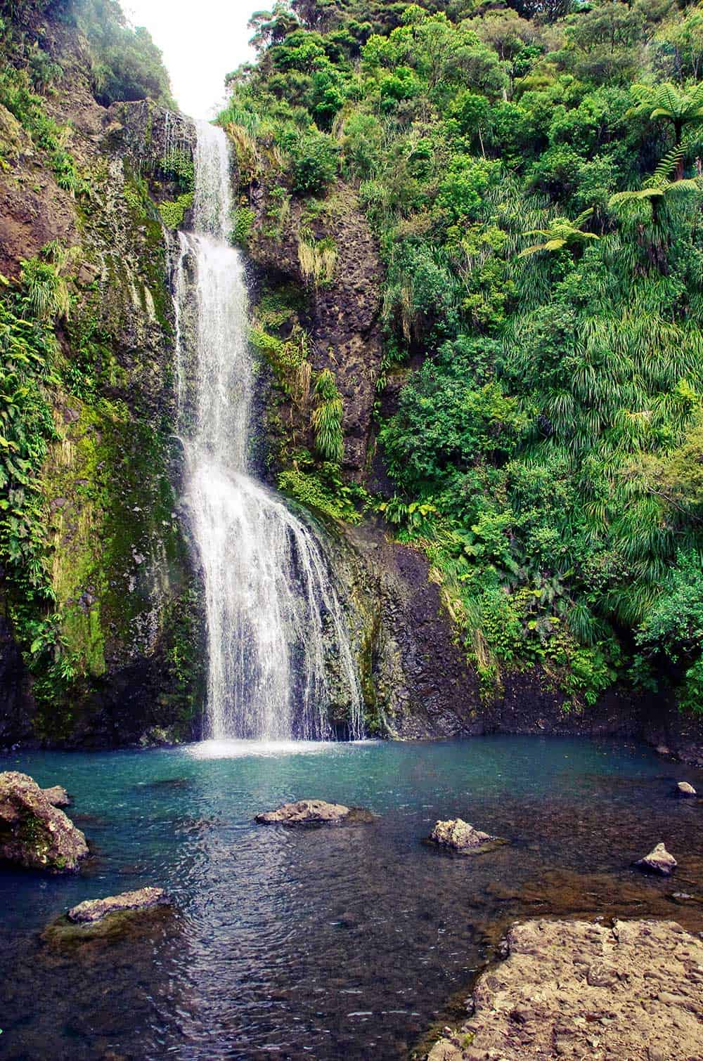 Kitekite Falls Track