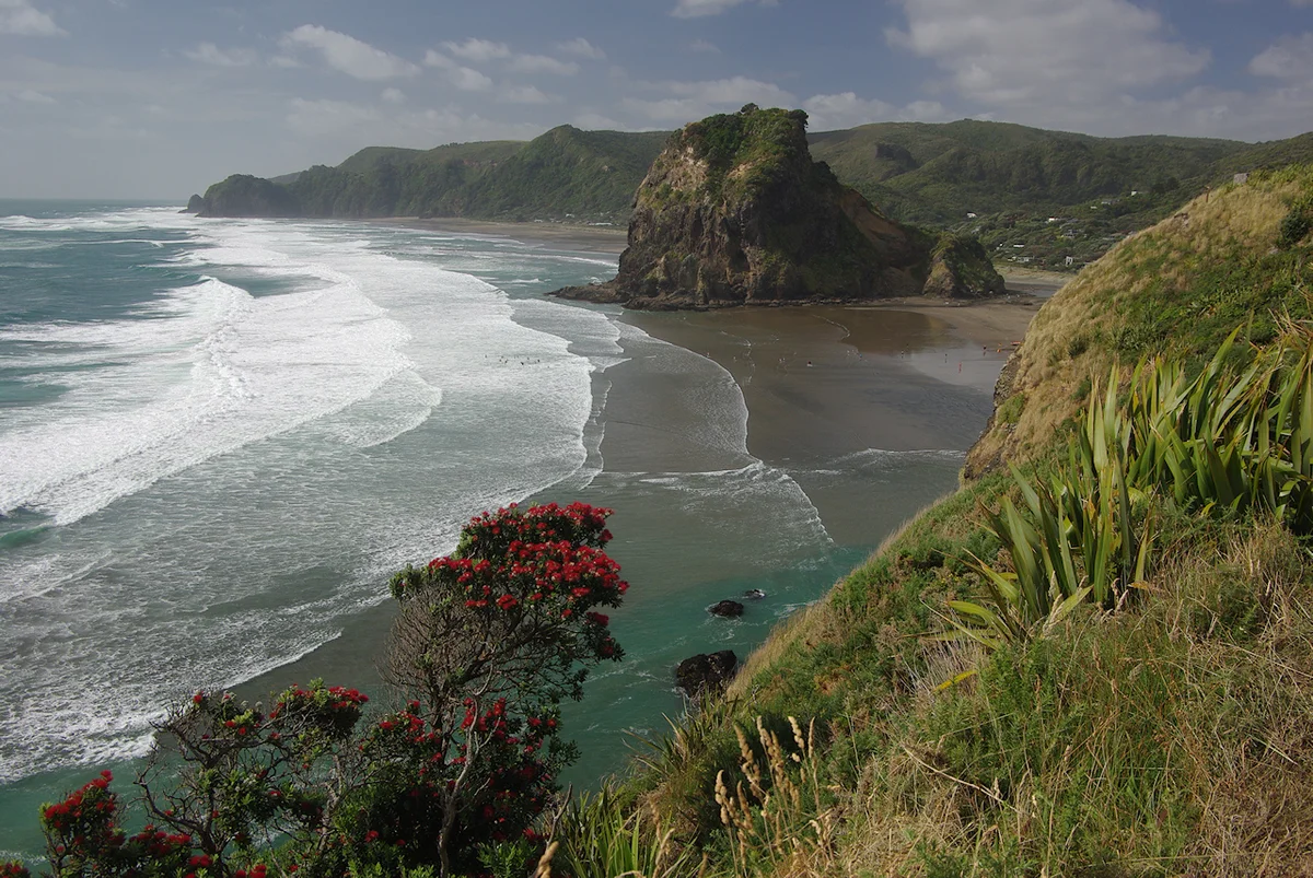 Tasman Lookout