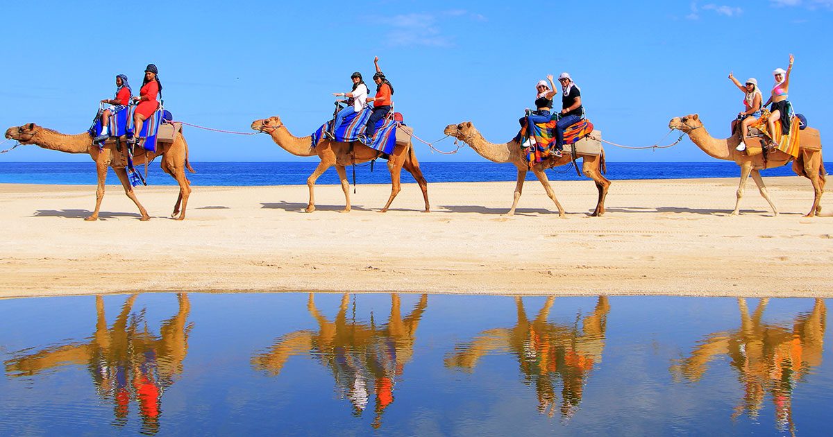 What to Wear on a Camel Ride in Cabo