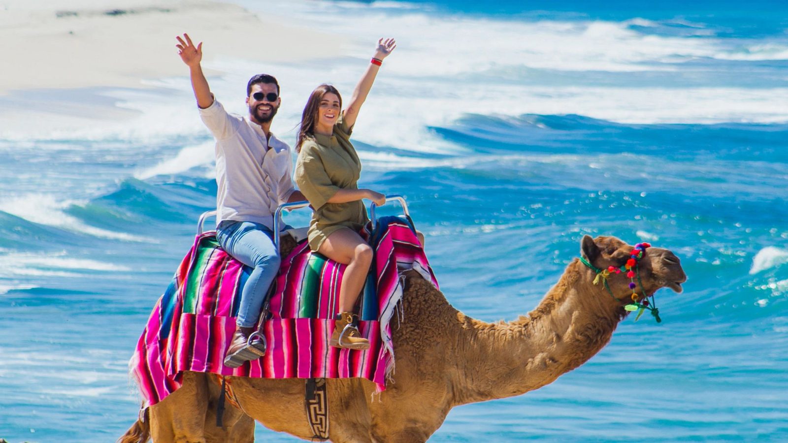 Are There Camels in Cabo San Lucas