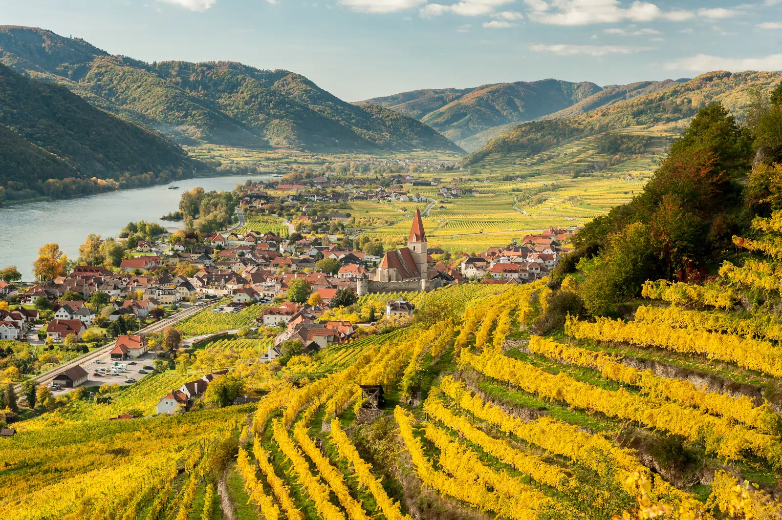 Vineyards of Krems