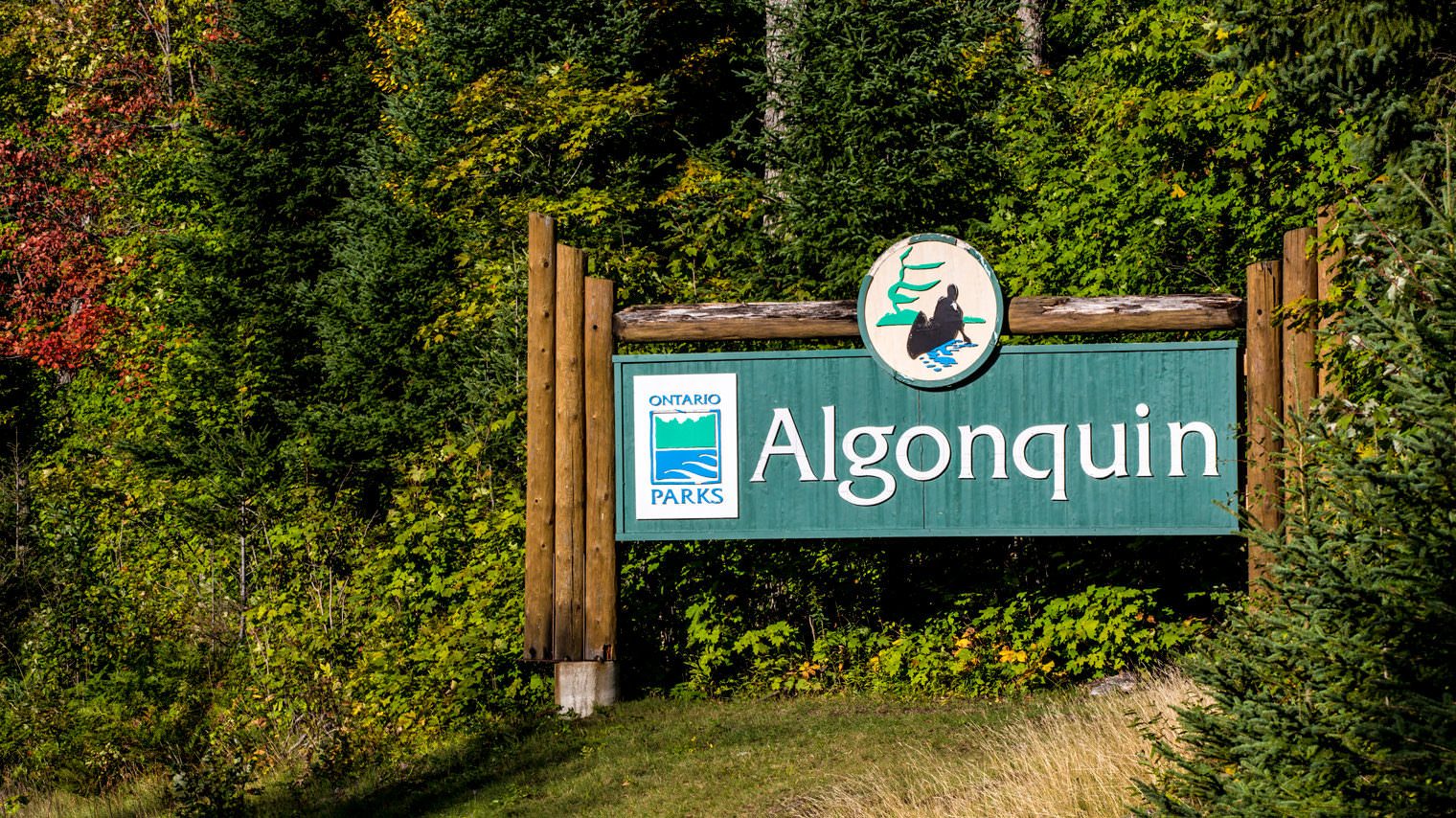 How Much Does It Cost to Go to Algonquin Park