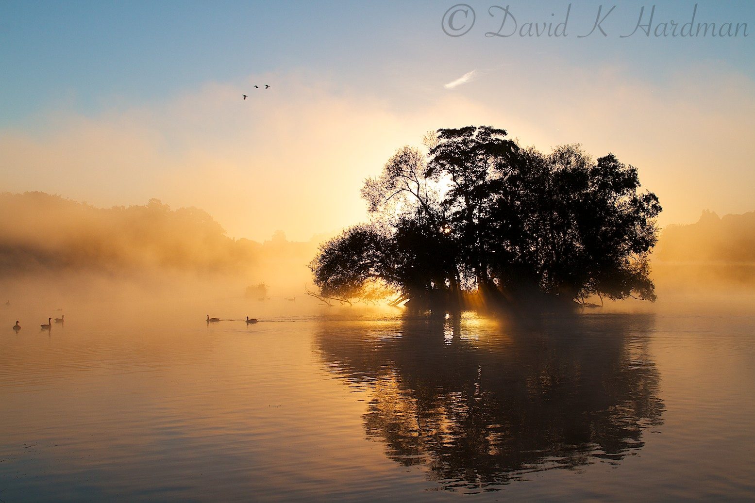 Pen Ponds