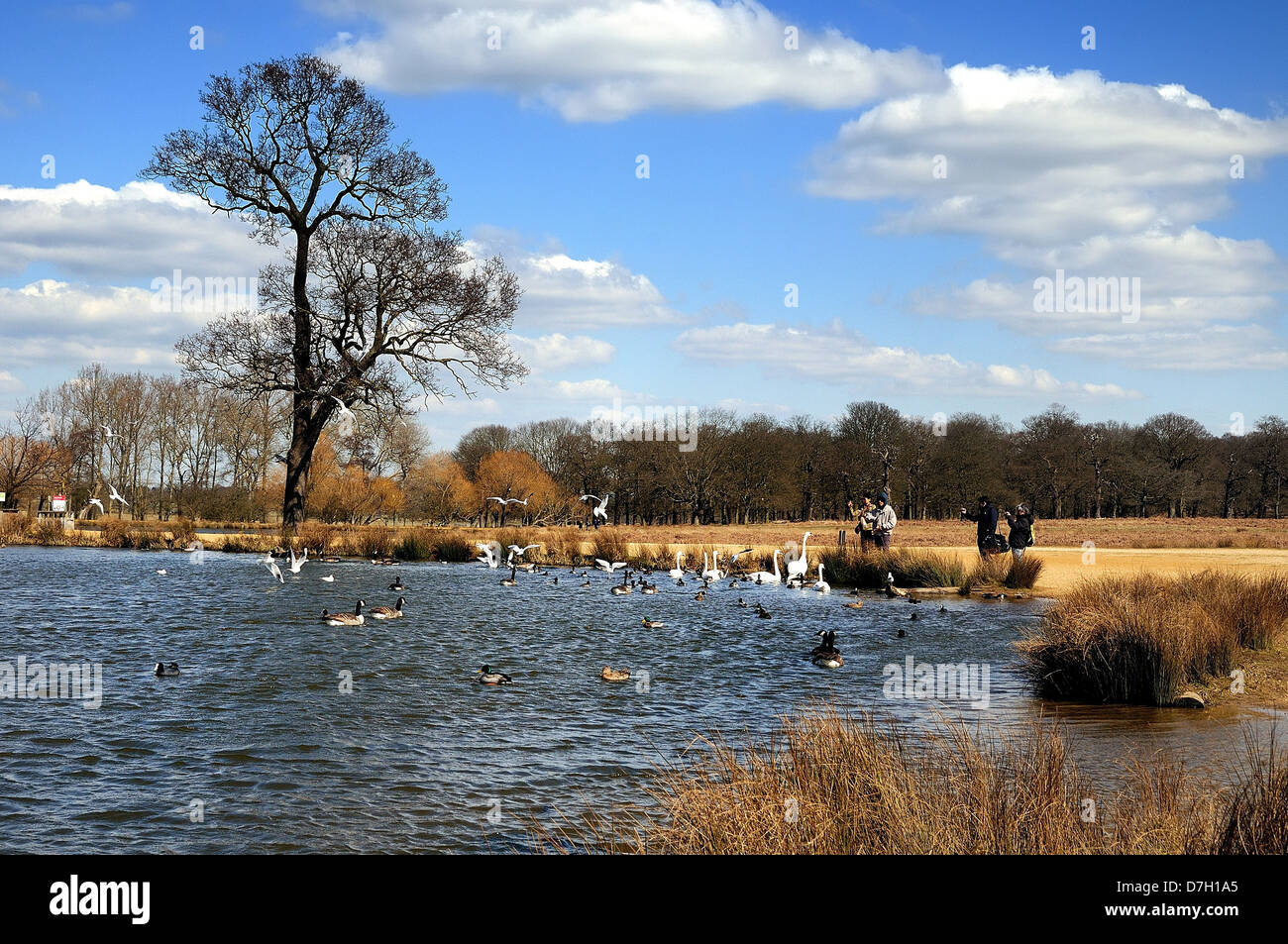 Caminhada até Pen Ponds
