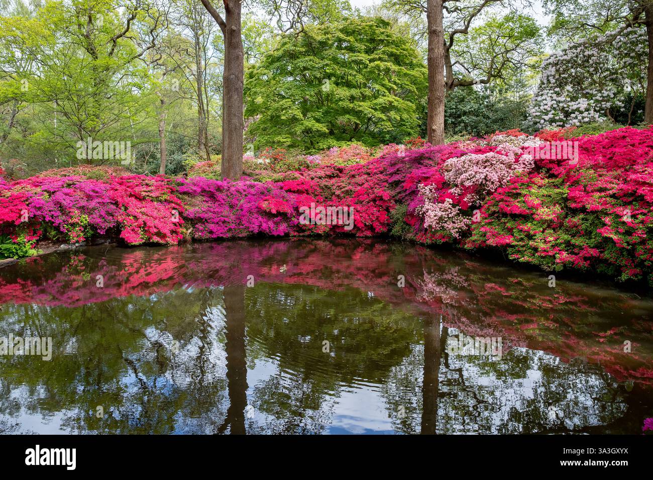 Visite a Isabella Plantation