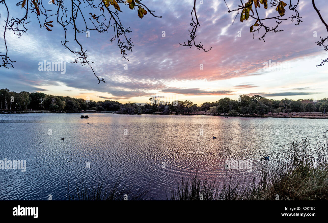 Pen Ponds