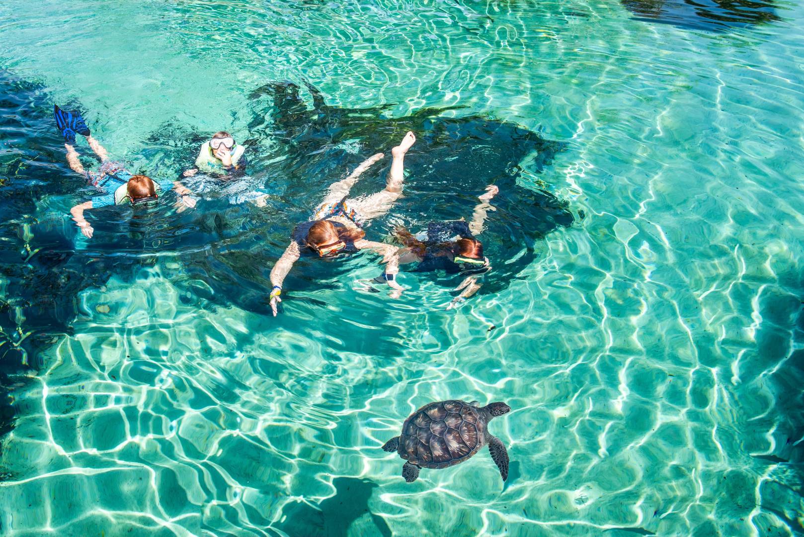 Marine Nursery