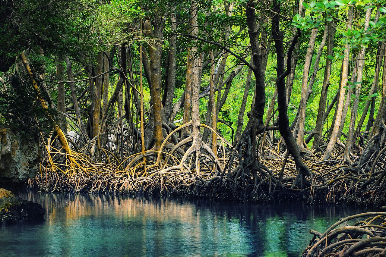 Los Haitises National Park