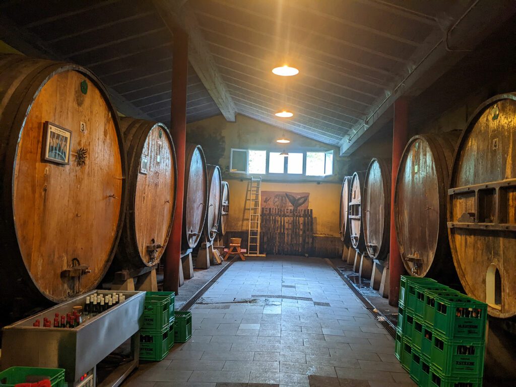 San Sebastian Cider House Season