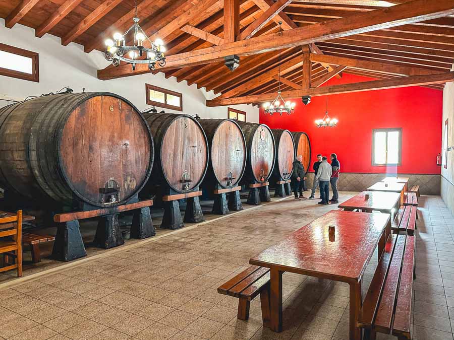 Best Cider House Tour San Sebastian