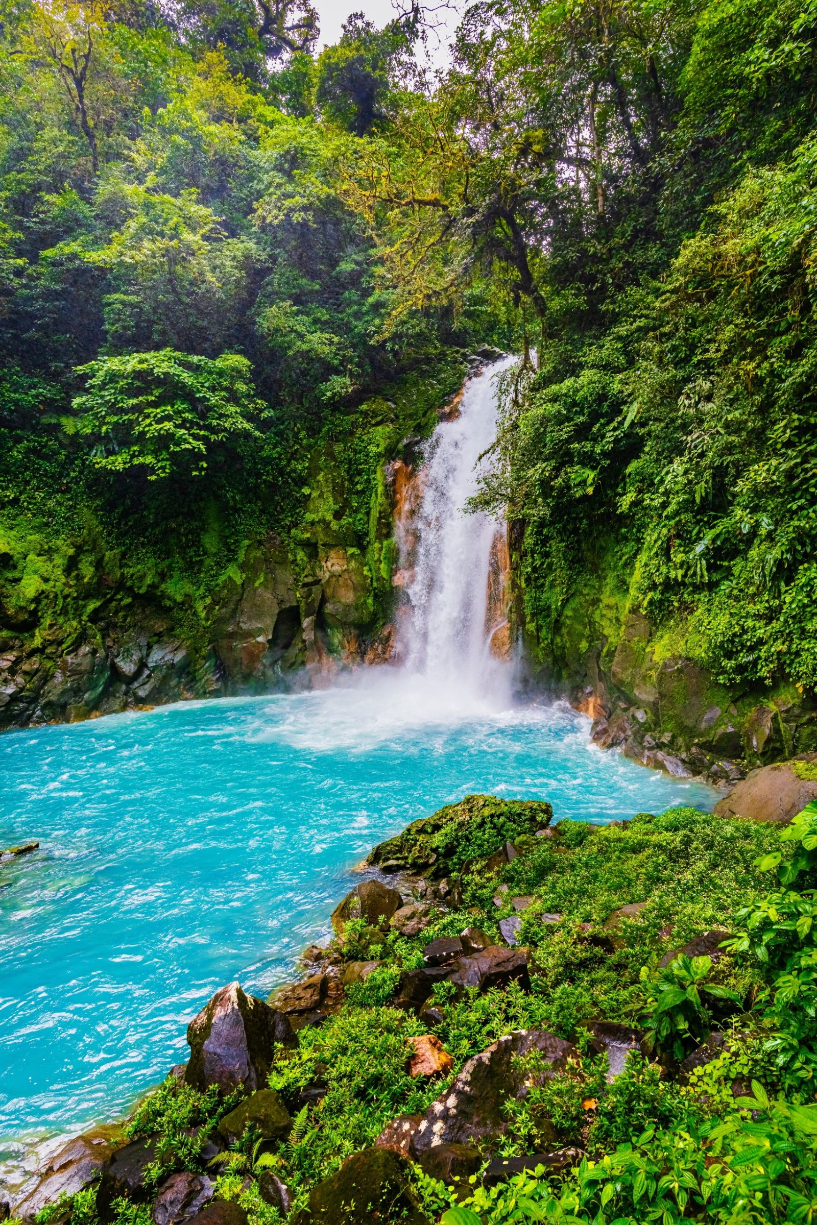 Rio Celeste vs La Fortuna Waterfall