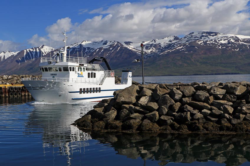 Akureyri to Arskogssandur