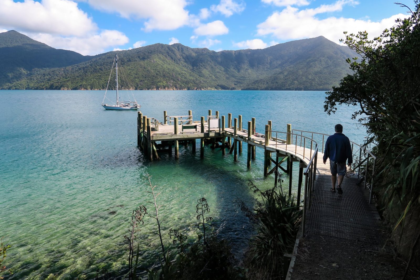 Motuara Island Bird Sanctuary and Ship Cove Cruise From Picton