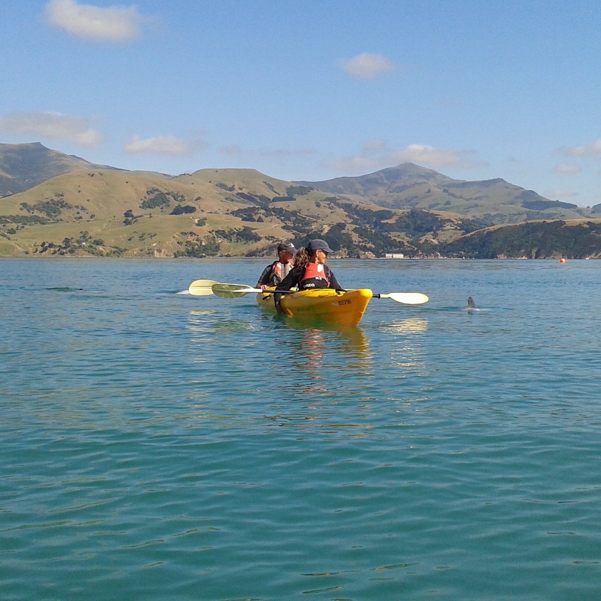 Akaroa Marine Reserve Kayaking