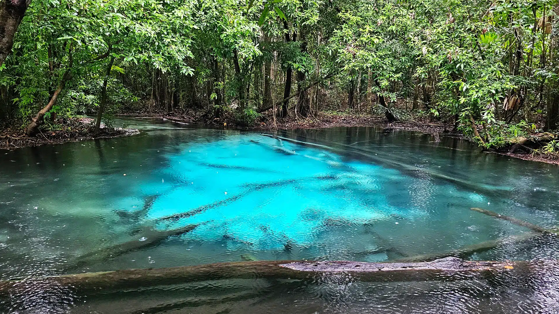 Krabi Emerald Pool Timings
