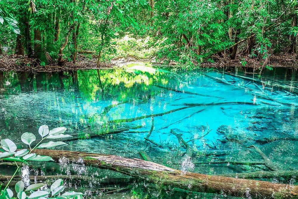 Emerald Pool Krabi Fee