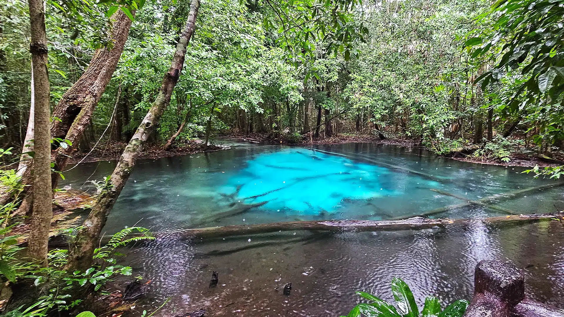 How to Get to Emerald Pool Krabi