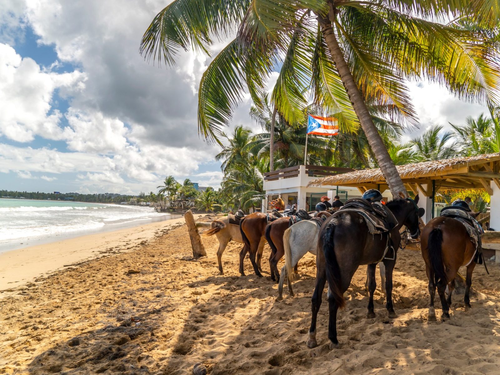 Horseback Riding on the Beach Luquillo Puerto Rico