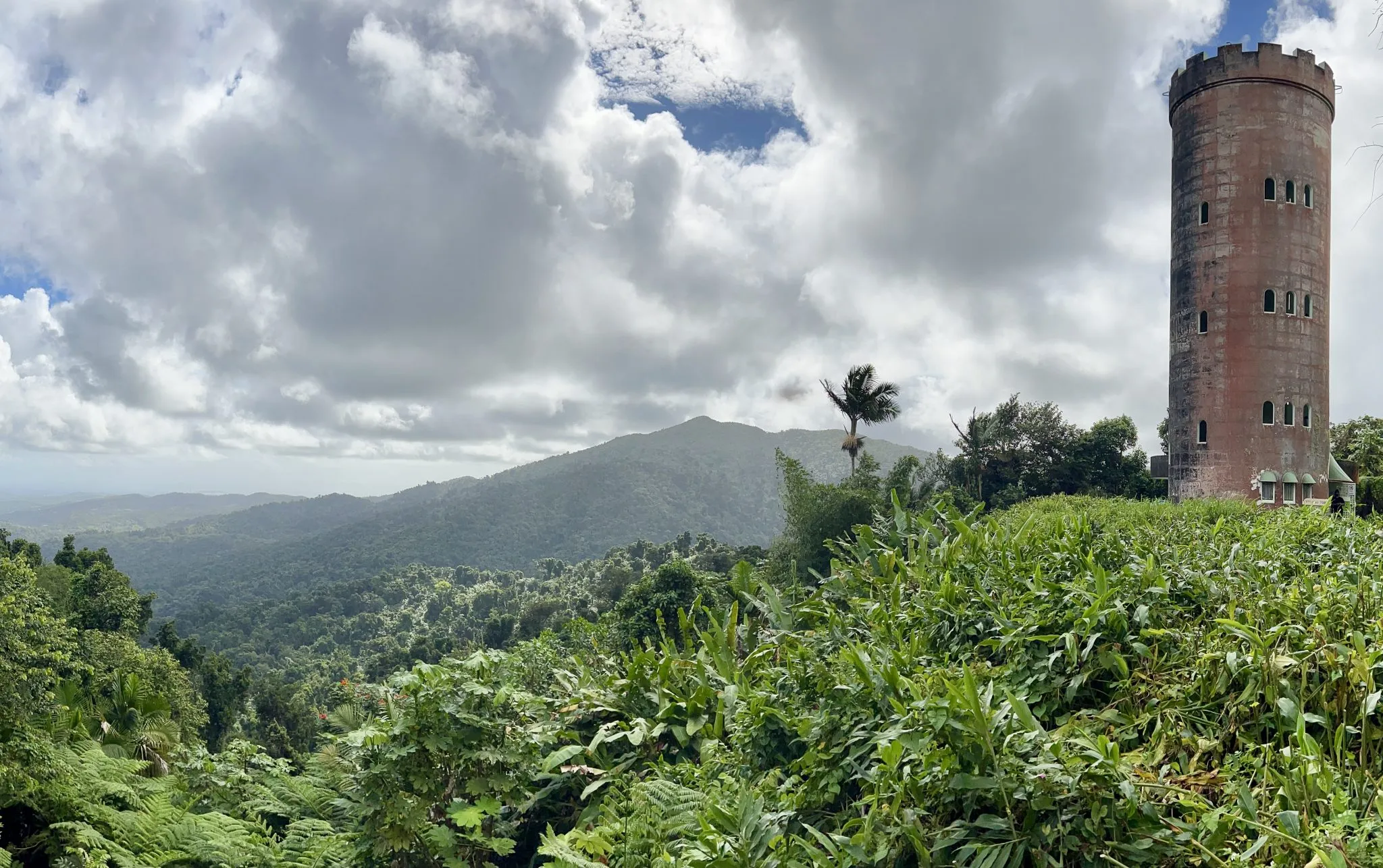 Can You Visit El Yunque Without a Tour