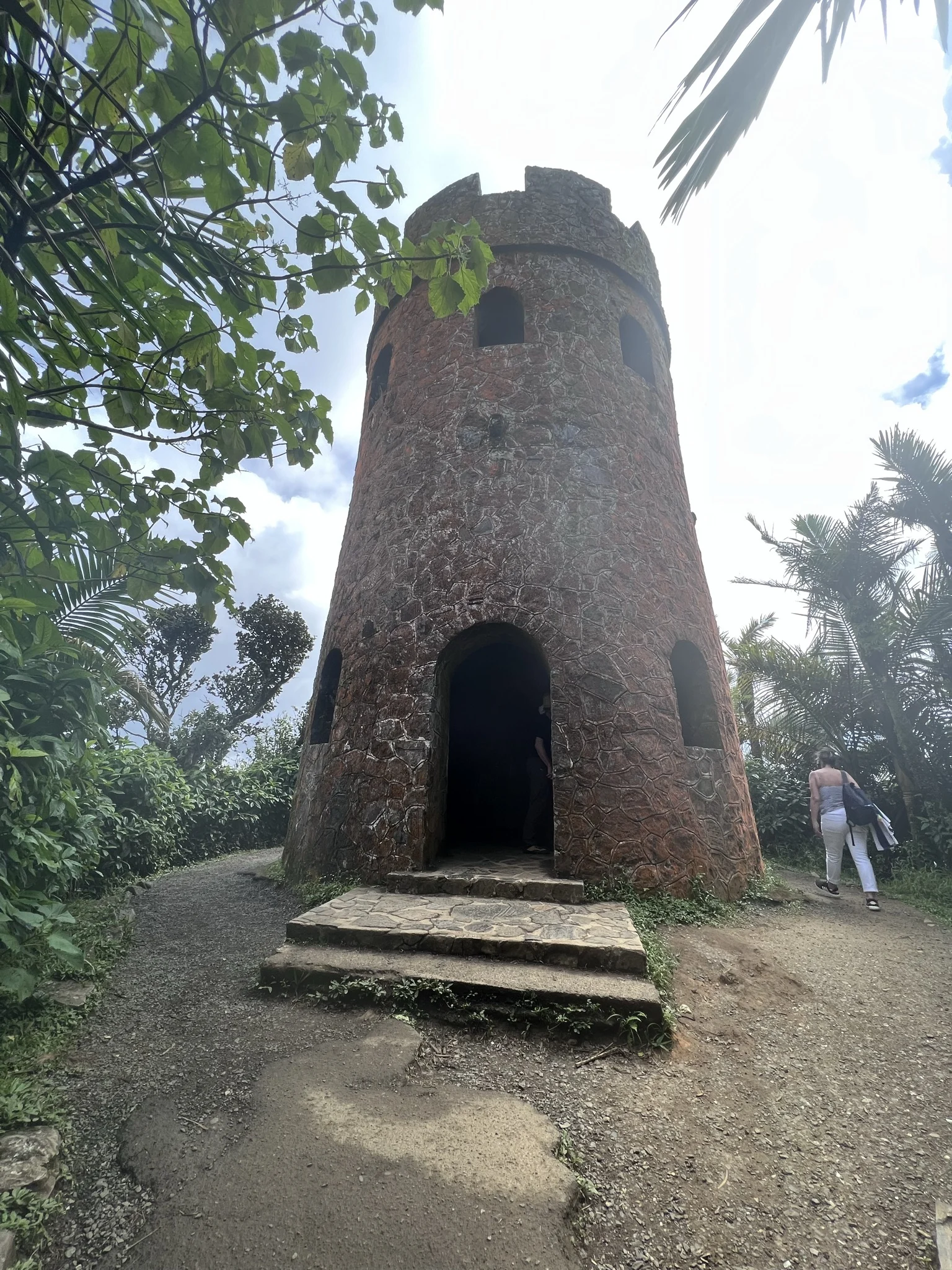 Mount Britton Tower