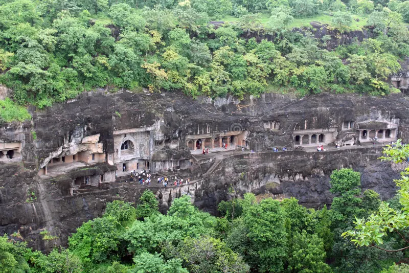 Middle View Point