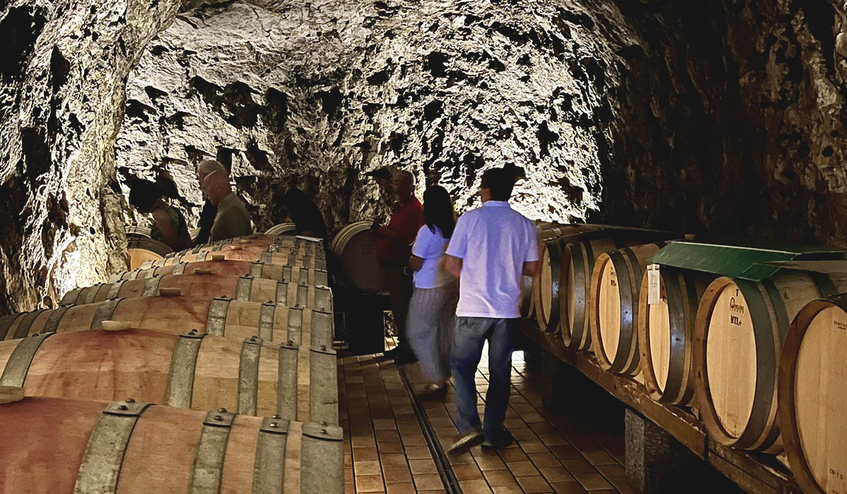 Cellar tour