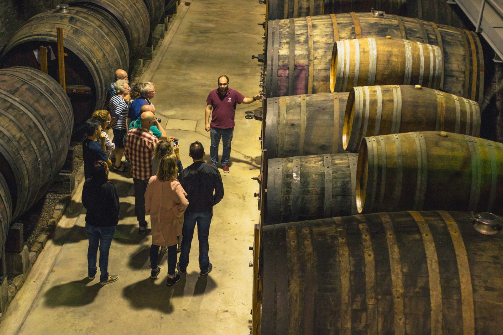 Your experience at Douro Valley Wine Tour