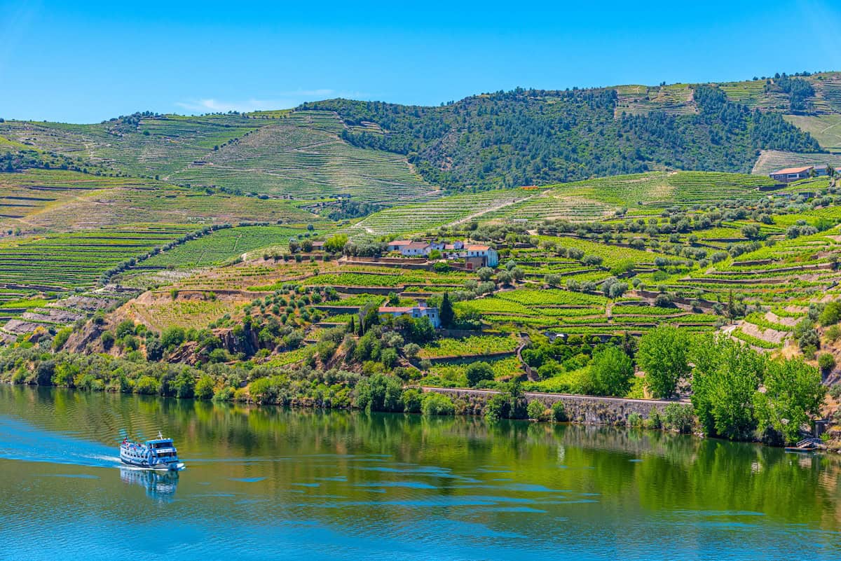 Douro Valley Wine Tour