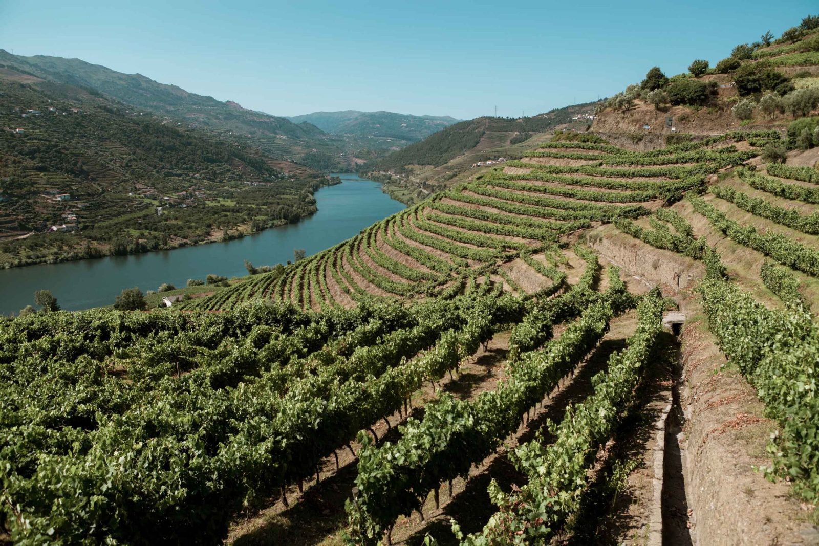 Douro Valley Tours