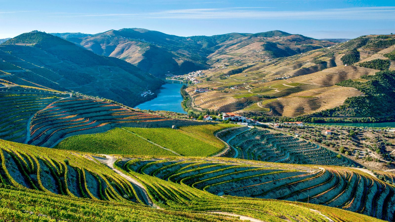 Douro Valley Tours from Porto