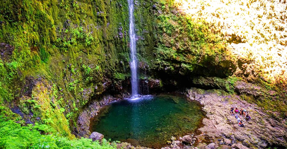 Waterfall View
