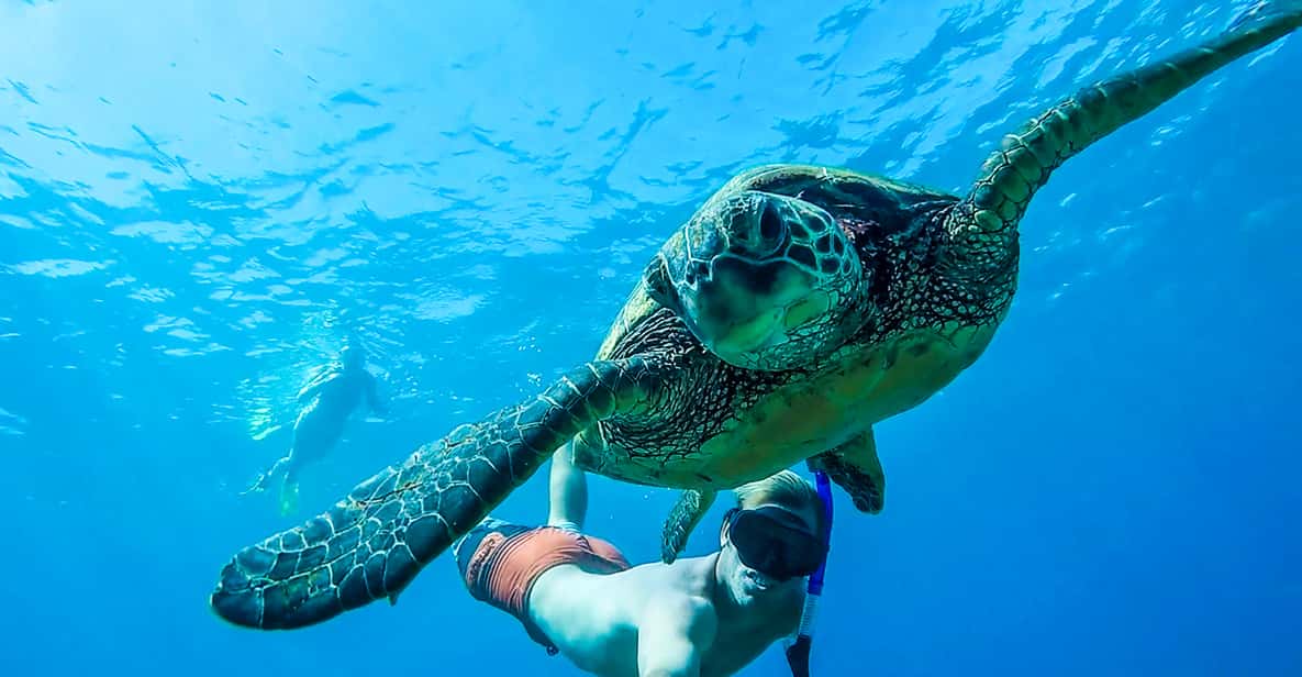 Snorkeling With Turtles San Juan