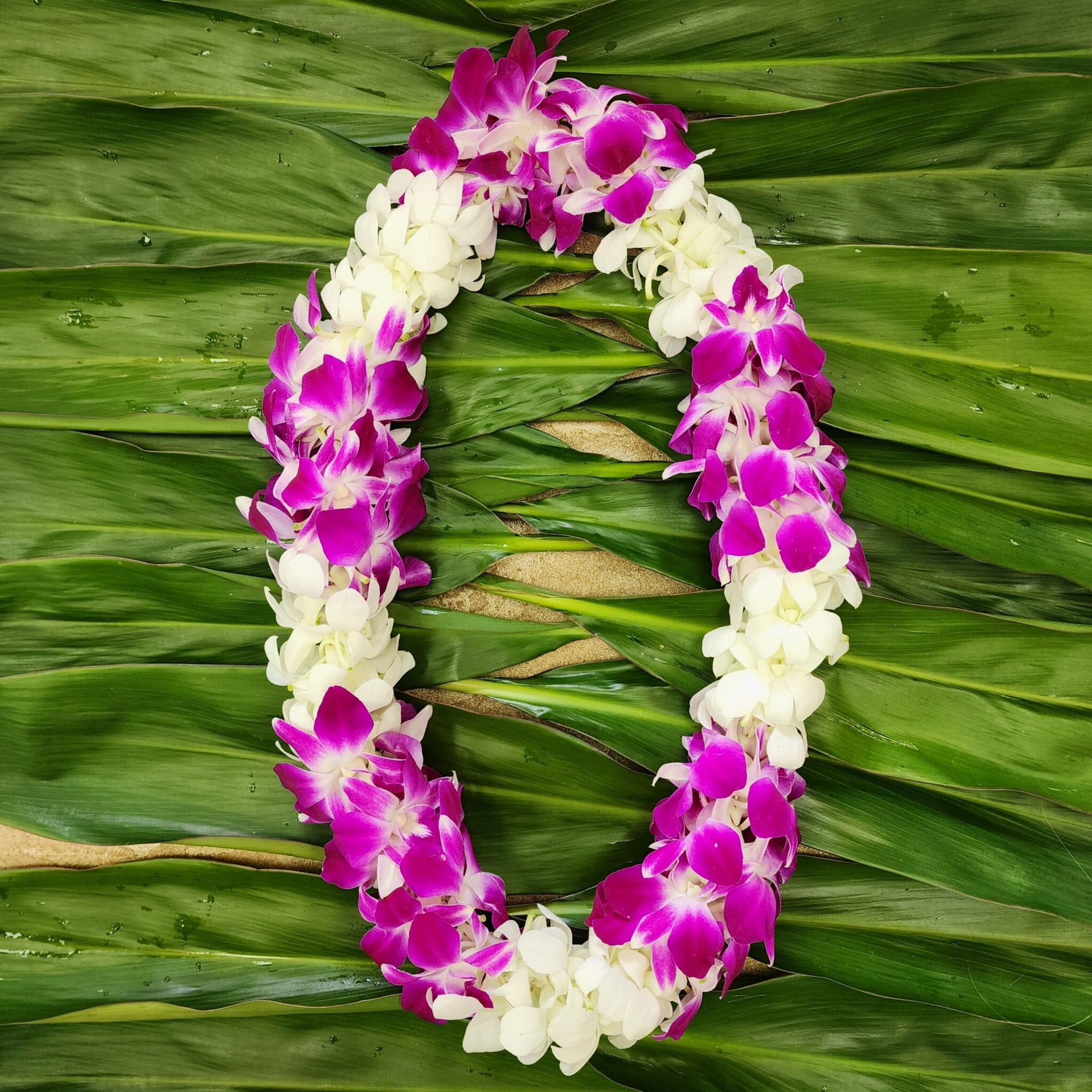 Classic Orchid Lei