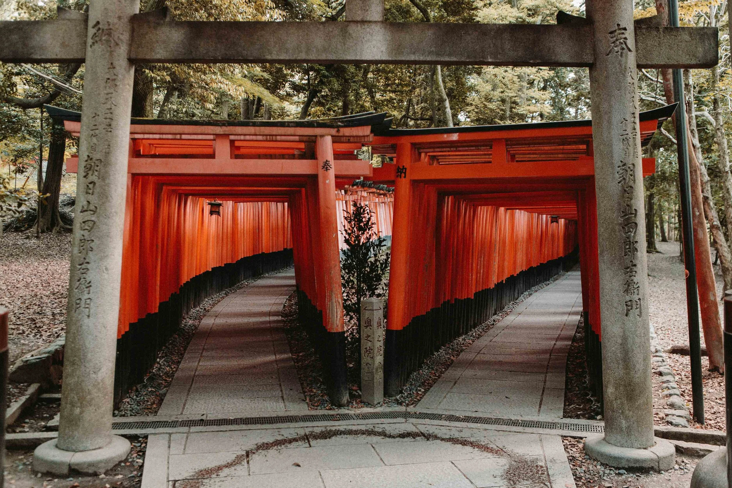 Senbon Torii