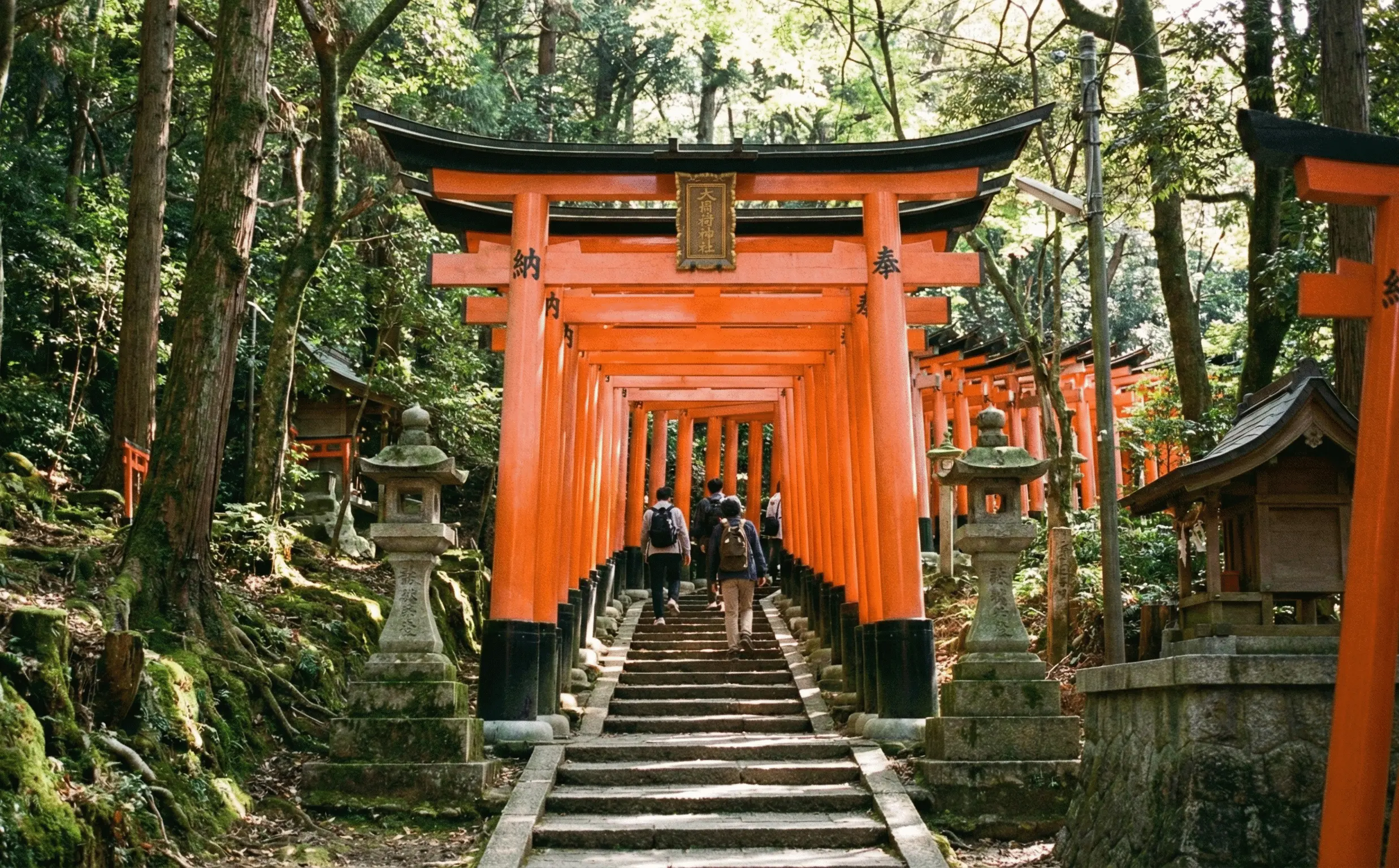 Mount Inari Trails