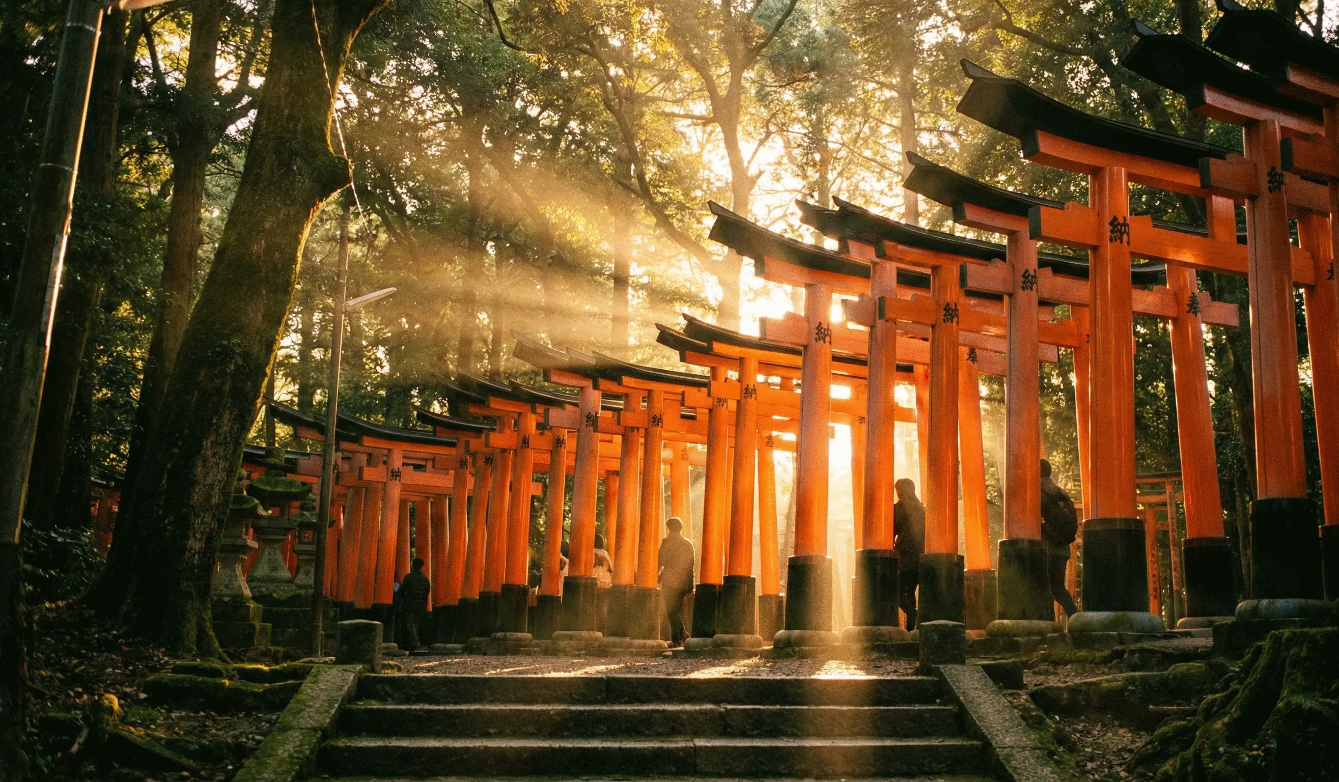 Kyoto and Nara Day Tour from Osaka