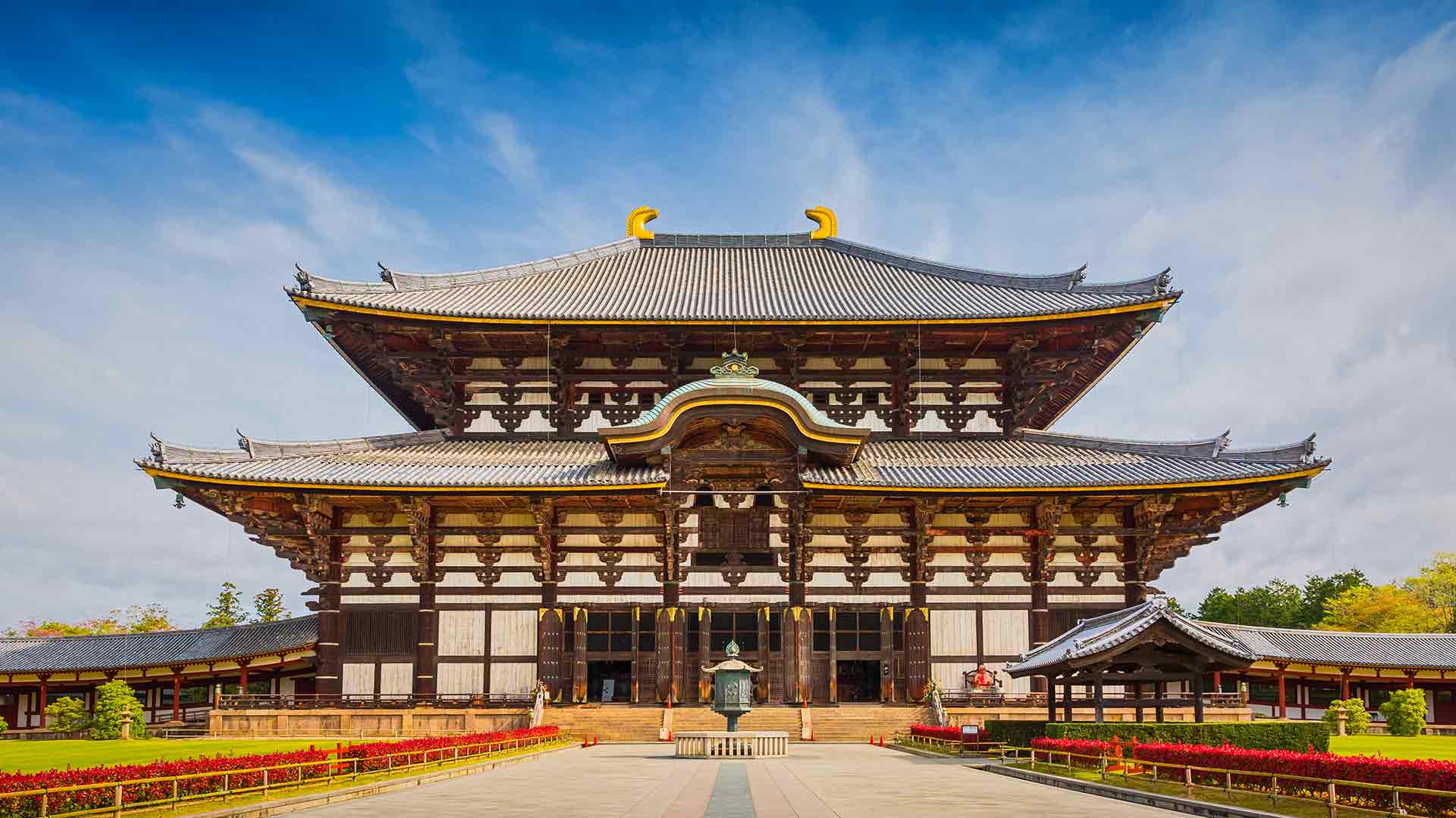 Todai-ji Temple Visit