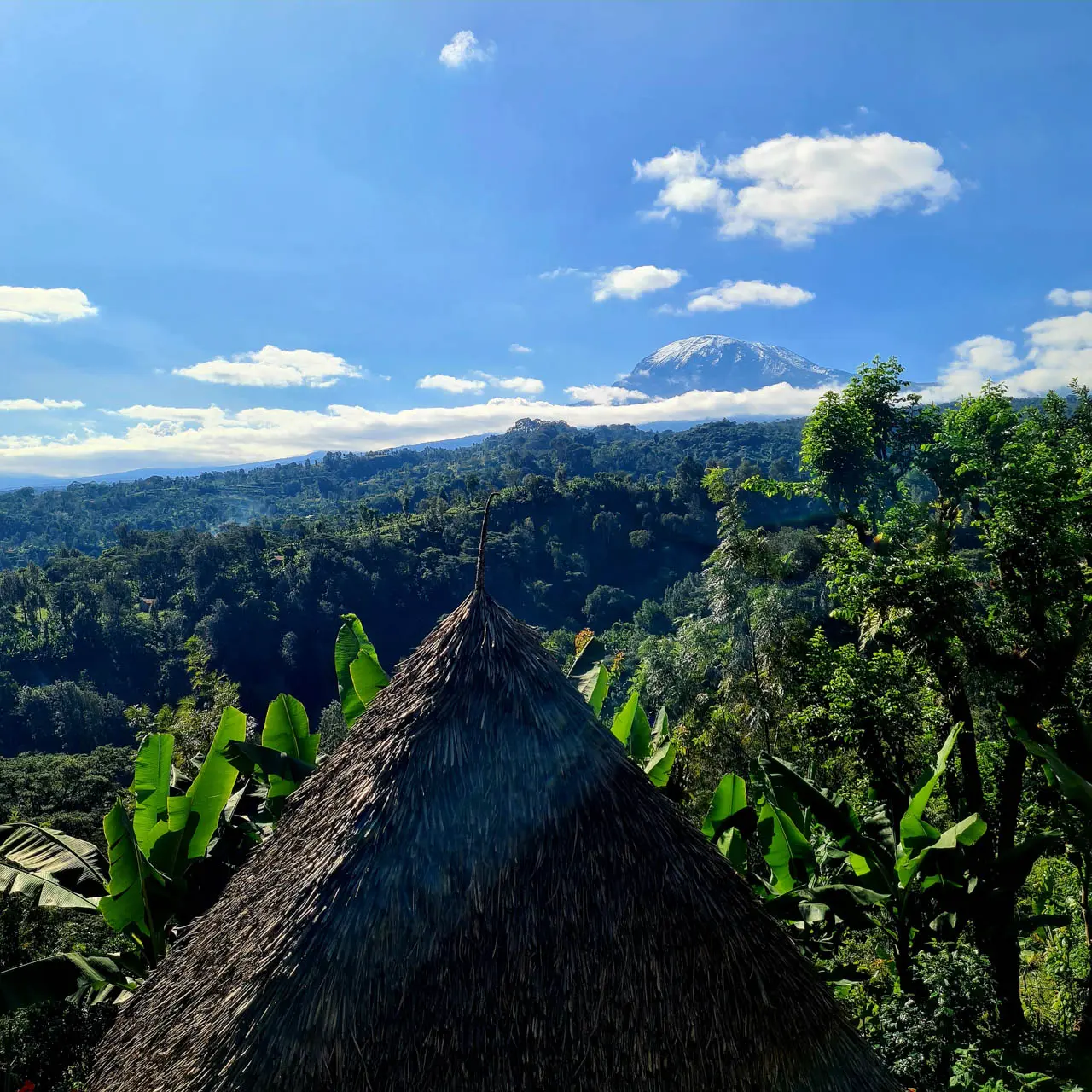 Traditional Chagga Village