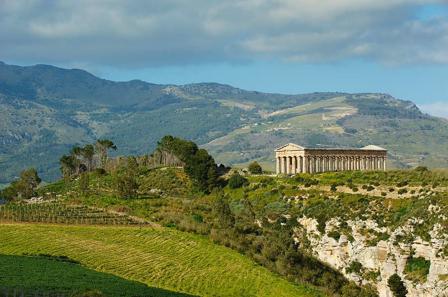 Segesta Erice and Salt Pans Full-Day Experience