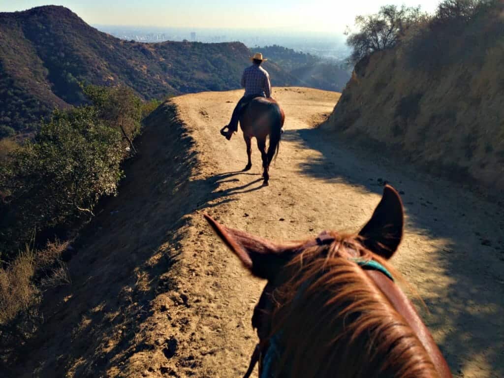Hollywood Hills Horseback Riding