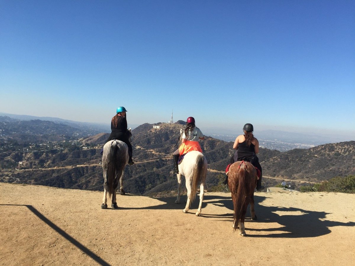 Your experience at Hollywood Hills Horseback Riding